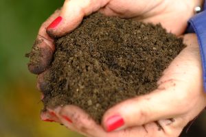 Equigrow Organic Green Compost Finest Topsoil Mix